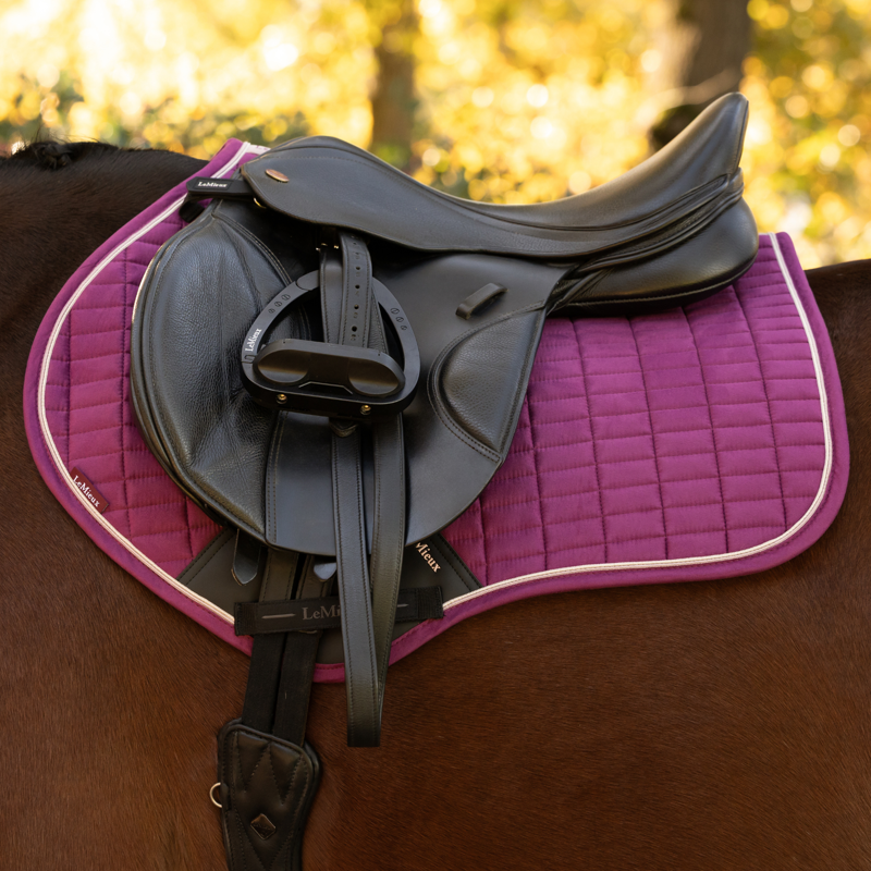LeMieux Suede Close Contact Square in Blackberry-1